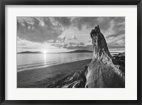 Samish Bay Sunset I BW Framed Print
