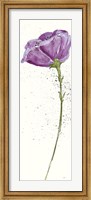 Framed Mint Poppies II in Purple Crop