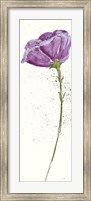Framed Mint Poppies II in Purple Crop