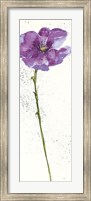 Framed Mint Poppies I in Purple Crop