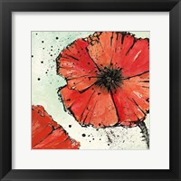 Framed Not a California Poppy IV