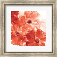 Framed Seashell Cosmos II Red and Orange