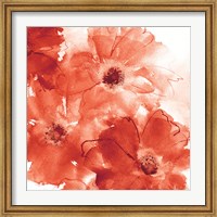 Framed Seashell Cosmos II Red and Orange