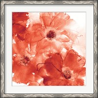 Framed Seashell Cosmos II Red and Orange