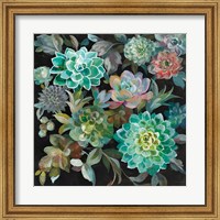 Framed Floral Succulents