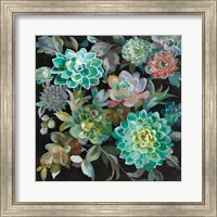 Framed Floral Succulents