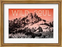 Framed Ombre Adventure II Wild Soul