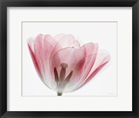 Inside Out III Framed Print