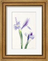 Framed Light and Bright Floral III