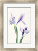 Framed Light and Bright Floral III