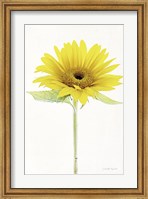 Framed Light and Bright Floral VIII