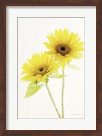 Framed Light and Bright Floral VII