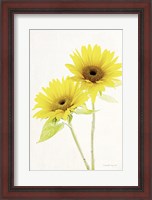 Framed Light and Bright Floral VII