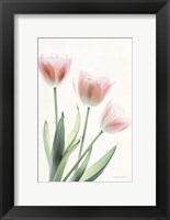 Framed Light and Bright Floral II
