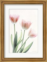 Framed Light and Bright Floral II