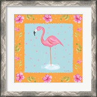 Framed 'Flamingo Dance IV' border=