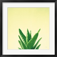 Framed Succulent Simplicity V