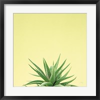 Framed Succulent Simplicity I