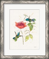 Framed Teal Hummingbirds II Flower