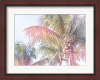 Framed Dream Palm I