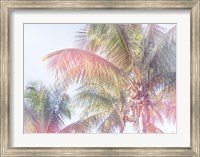 Framed Dream Palm I