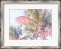 Framed Dream Palm I