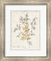 Framed Flowers on White II with Words