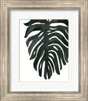 Framed Tropical Palm II BW
