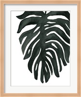 Framed Tropical Palm II BW