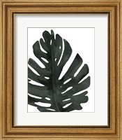 Framed Tropical Palm I BW
