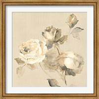 Framed Rose Blossoms Crop