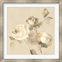 Framed Rose Blossoms Crop