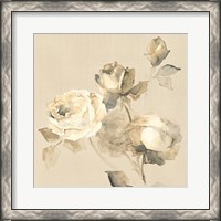 Framed Rose Blossoms Crop