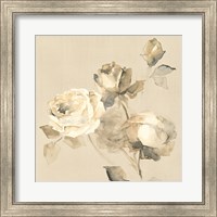 Framed Rose Blossoms Crop