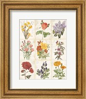 Framed Flowers of the Month 9 Patch