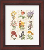 Framed Flowers of the Month 9 Patch