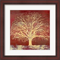 Framed Crimson Oak