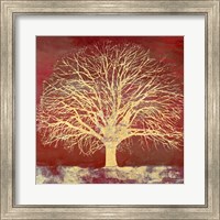 Framed Crimson Oak