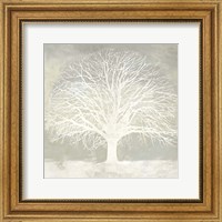 Framed White Oak