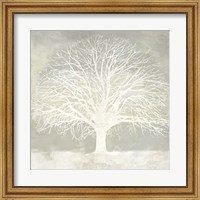 Framed White Oak