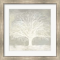 Framed White Oak