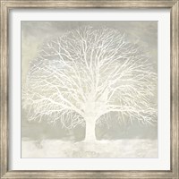 Framed White Oak