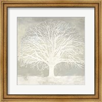 Framed White Oak