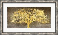 Framed Shimmering Tree Ash