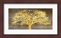 Framed Shimmering Tree Ash