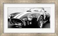 Framed Black Cobra