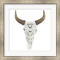 Framed Ox Skull