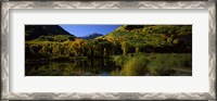 Framed Fall Colors Reflected in Water with Mountains in the Background, Colorado