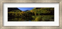 Framed Fall Colors Reflected in Water with Mountains in the Background, Colorado