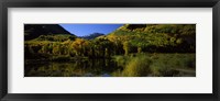 Framed Fall Colors Reflected in Water with Mountains in the Background, Colorado